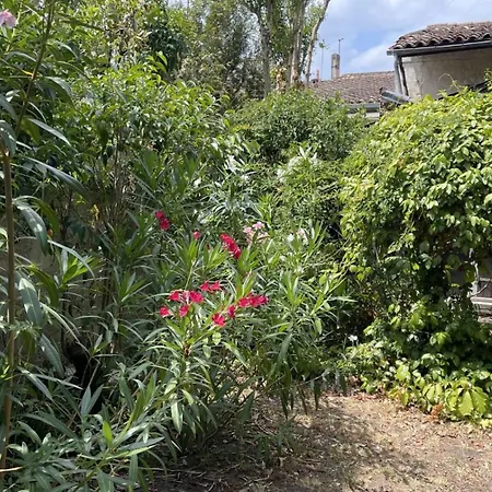 Maison - Authentique Echoppe Bordelaise Avec Jardin 보르도